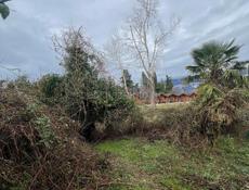 Земельный участок 6 соток срочно Пицунда цитрусовый