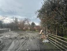 Земельный участок 6 соток срочно Пицунда цитрусовый