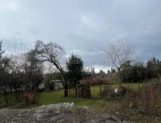 Земельный участок 6 соток срочно Пицунда цитрусовый