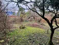 Земельный участок 6 соток срочно Пицунда цитрусовый