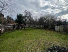 Земельный участок 6 соток срочно Пицунда цитрусовый