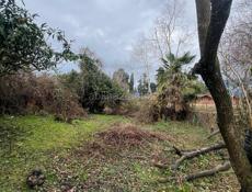 Земельный участок 6 соток срочно Пицунда цитрусовый