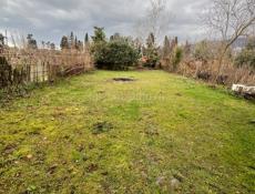 Земельный участок 6 соток срочно Пицунда цитрусовый