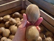 ПРЯМАЯ ПРОДАЖА