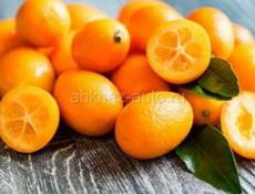 ПРЯМАЯ ПРОДАЖА