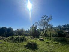 УЧАСТОК НОВЫЙ АФОН