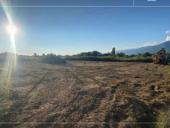 УЧАСТОК АЛАХАДЗЫ 