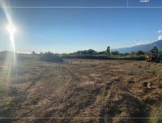 УЧАСТОК АЛАХАДЗЫ 