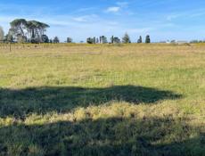 УЧАСТОК АЛАХАДЗЫ