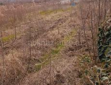 Чанба СРОЧНО УЧАСТОК