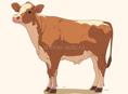Молодая Корова на мясо