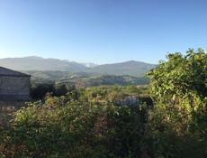 ПРОДАМ УЧАСТОК 25 СОТОК 