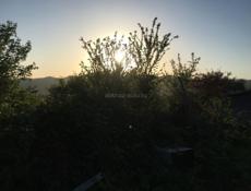 ПРОДАМ УЧАСТОК 25 СОТОК 