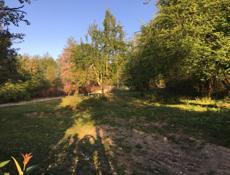 ПРОДАМ УЧАСТОК 25 СОТОК 