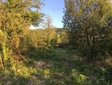 ПРОДАМ УЧАСТОК 25 СОТОК 