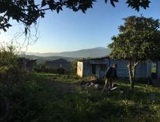 ПРОДАМ УЧАСТОК 25 СОТОК 