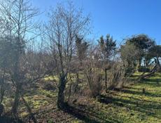 ПРОДАМ УЧАСТОК 25 СОТОК 