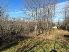 ПРОДАМ УЧАСТОК 25 СОТОК 