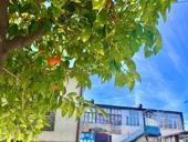 2 - К.КВАРТИРА В ЦЕНТРЕ СУХУМА 