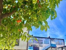 2 - К.КВАРТИРА В ЦЕНТРЕ СУХУМА 