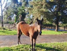 Продается срочно 