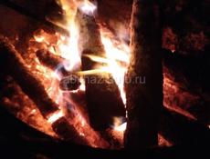 Ищу любую приемлемую работу.