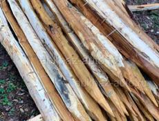 Колышки акации