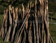 Колышки акации