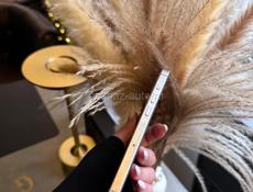 Продаю iPhone 15 pro