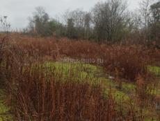 Земля даю обмен на машину