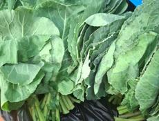 ПРОДАМ ЛАХАН И НАРДЦЫЗ 