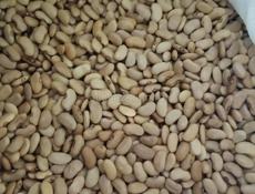 Продаётся фасоль