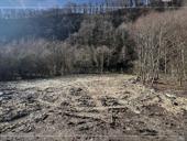 2 УЧАСТКА СУХУМ ОРЕХОВАЯ РОЩА