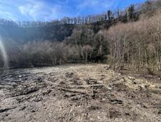 2 УЧАСТКА СУХУМ ОРЕХОВАЯ РОЩА