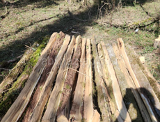 КОЛЫШКИ ИЗ АКАЦИИ