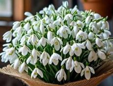 913 52 55 хозяйка