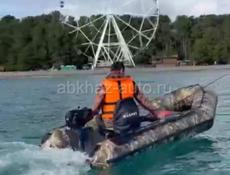 Лодочный мотор