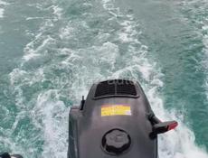 Лодочный мотор