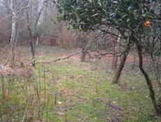 ПРАДАЖА ИЛИ АБМЕН УЧАСТОК