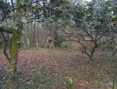 ПРАДАЖА ИЛИ АБМЕН УЧАСТОК