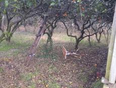 ПРАДАЖА ИЛИ АБМЕН УЧАСТОК