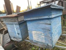 Ульи для пчел