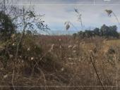 УЧАСТОК ЭШЕРА 600 тысяч