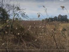 УЧАСТОК ЭШЕРА 600 тысяч