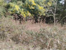 УЧАСТОК ЭШЕРА 600 тысяч