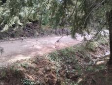 УЧАСТОК ЭШЕРА 600 тысяч