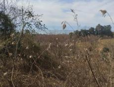 УЧАСТОК ЭШЕРА 600 тысяч