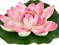 Ищу работу девушка