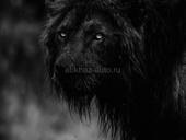 Подогрейте акк в пабг халал