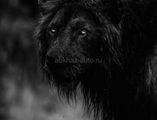 Подогрейте акк в пабг халал